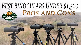 Best Binoculars Under 1500  Pros and Cons of Each [upl. by Naeroled348]