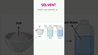 solute and solvent  solute or solvent kya hota hai learning chemistry understandingchemistry [upl. by Dannica441]