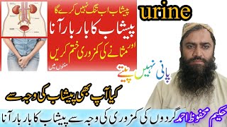 Masana or gurdo Ki Kamzoriki waja sy Peshab Ka Bar Bar Aana Frequent urinationپیشاب کا بار بار آنا [upl. by Sinaj455]