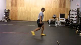 Dumbbell Reverse Lunge [upl. by Gordon]