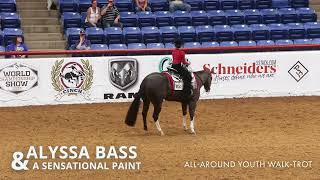 2023 APHA World Show AllAround Youth WalkTrot [upl. by Siravrat584]