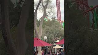 Is that TATSU themepark rollercoaster airtime sixflagsmagicmountain [upl. by Enyal]