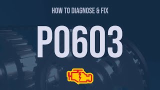 How to Diagnose and Fix P0603 Engine Code  OBD II Trouble Code Explain [upl. by Kaspar]