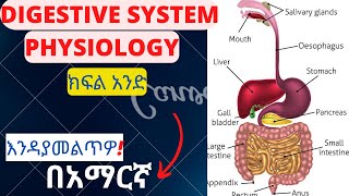 DIGESTIVE SYSTEM PHYSIOLOOGY PART 1 IN AMHARICGI PHYSIOLOGY MADE EASY [upl. by Sesom]