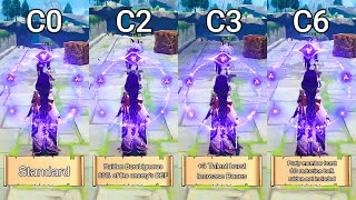 Raiden shogun DMG Comparison [upl. by Fen]