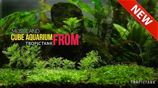 Beautiful Aquarium Scenes Part 3 [upl. by Compte]