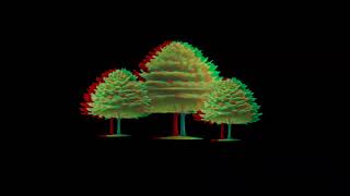 Tree Hologram Video 3D Edition redblue [upl. by Doty]