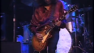 Jimmy Page amp Robert Plant  Live in Detroit MI 1995 Proshot [upl. by Wehner]