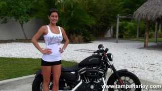 New 2013 HarleyDavidson XL883N Sportster Iron 883 in Black Denim for Sale [upl. by Namia121]