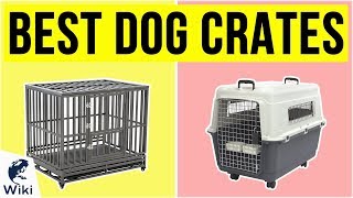 10 Best Dog Crates 2020 [upl. by Wixted]