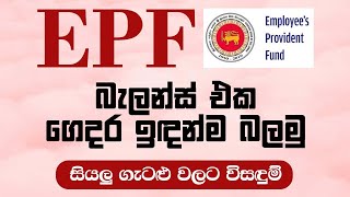 How to Check EPF Balance In Sri Lanka  EPF බැලන්ස් එක ලේසියෙන්ම බලමු  Dp hub [upl. by Novyar]