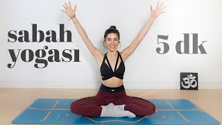 UYAN ve PARLA ☀ Güne Enerjik Başlamak İçin 5 Dakika Sabah Yogası  Elvin ile Yoga [upl. by Elene]