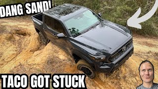 First Dirt For My 2024 Tacoma TRD Off Road  We Got Stuck [upl. by Yssej317]