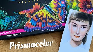 Prismacolor Premier Colored Pencils 150 Set  UnboxingSwatches Drawing [upl. by Feodor]