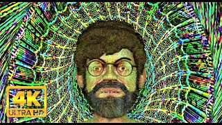 Terence McKenna DMT Experience In The Chrysanthemum 4K Visuals [upl. by Eleets]