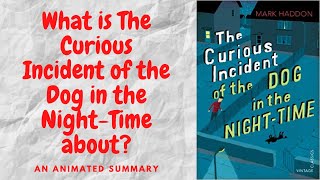 The Curious Incident of the Dog in the Night Time by Mark Haddon [upl. by Colvert]