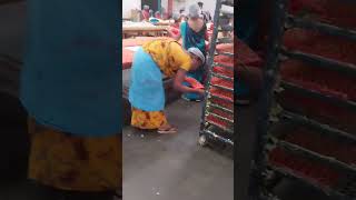 Pooja karne wala dhup agarbatti factory [upl. by Ahsinod991]