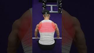 Barbell Row Variations KNOW THE DIFFERENCE [upl. by Boyse]