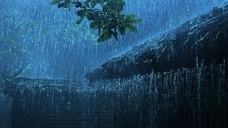 Deep Sleep Instantly With Heavy Rain On Roof amp Thunder  Relaxing Rain Sounds For Sleep Meditation [upl. by Anez971]