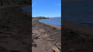 Bras dor Lake Beautiful Beach In Nova Scotia vanlife canadianroadtrip beach pug freecamping [upl. by Grimbald]