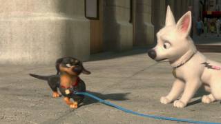 Volt  Bandeannonce 2 I Disney [upl. by Frasco]