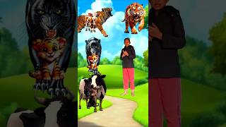 Tiger vs Panther vs Cow jyotivfx funny shorts [upl. by Gone]