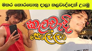 මකර කොරපොතු දාලා කලවැද්දෙක් උයමු  Kalawadi Kolla  Mama Kamathima Sinduwa [upl. by Enomor803]