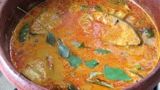 Kerala fish Curry With Coconut Milk  Kerala Recipes  Nisa Homey [upl. by Asirb]