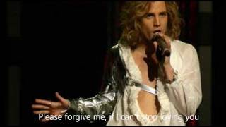 Please Forgive Me  Martin Rolinski  Lyrics [upl. by Pitchford571]