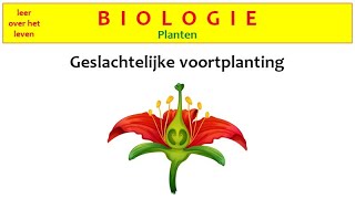 Biologie  Planten  Geslachtelijke voortplanting [upl. by Nannerb]