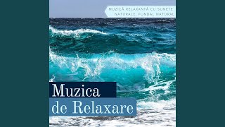 Muzica de Relaxare [upl. by Yellehs512]