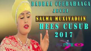 Salma Hees shidan Caynba cayn 2017 [upl. by Melvyn]