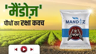 नंबर 1 फंगीसाइड 👌 AgroStar Mandoz🔥 पौधों की करें सुरक्षा Mancozeb 63  Carbendazim 12 WP [upl. by Hobart]