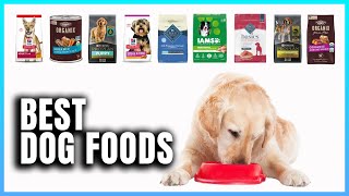 Top 10 Best Dog Foods  Extreme Reviewer [upl. by Eilrahs]