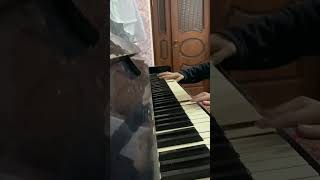 Handel  Passacaglia piano cover by Shakhriyor [upl. by Atimed]