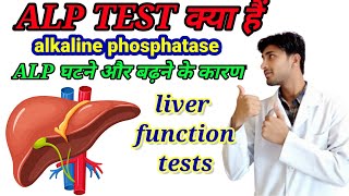 ALP normal rangeALP Alkaline phosphatase ALPnormal range ALP test kya haistudywithhussain [upl. by Clements]