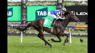 Caulfield Cup 2023 RunnerByRunner Preview [upl. by Papagena230]