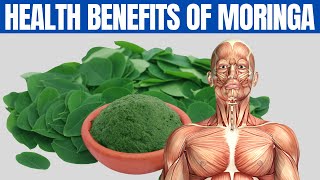 MORINGA BENEFITS  16 Amazing Health Benefits of Moringa You Should Know [upl. by Sturges20]