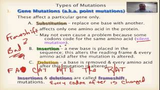 Chapter 13 Part 6  Gene Mutations [upl. by Imaj]