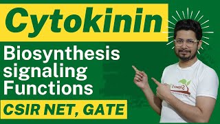 Cytokinin hormone biosynthesis and cytokinin function [upl. by Estrella]