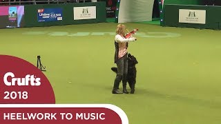 Heelwork to Music Competition Part 3  Crufts 2018 [upl. by Leumas596]