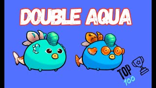 🏆🛡️DOUBLE AQUA TEALSHELL🛡️🏆 [upl. by Anawit523]