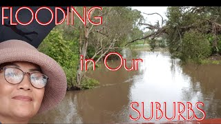 FLOODING IN OUR SUBURBS MORAYFIELD  3 DAYS OF HEAVY RAIN [upl. by Mathis294]