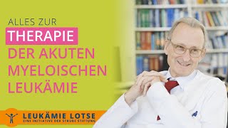 Therapie einer akuten myeloischen Leukämie [upl. by Ylrac]