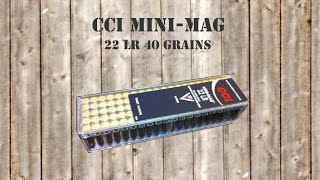 WiederladerTv Check CCI Mini Mag 22 lr  German [upl. by Ruamaj]