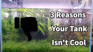 3 Reasons Your Tank Isnt Cool Its Not Because of CO2 Fertilizer or Lighting Green Day 1 [upl. by Grory]