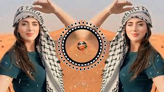 Arabic Remix Song 2023  Arabic Song  Slowed Reverb  Bass Boosted  slowedandreverb arabicmusicw [upl. by Butta]