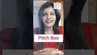 What is Pitch Book [upl. by Robaina]