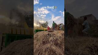 Banhu Banihar Gori Tor Khet Ke  धान मिसाई 🌾 cg dhan kisan [upl. by Robet]