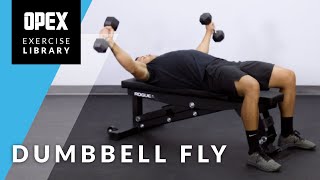 Dumbbell Fly [upl. by Ramsden]